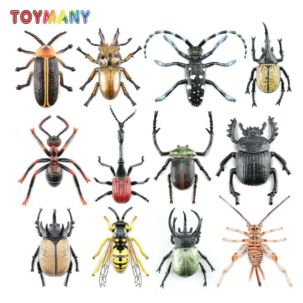 Kids Toys Latest - Toymany Simulation Insect & Beetle Animal